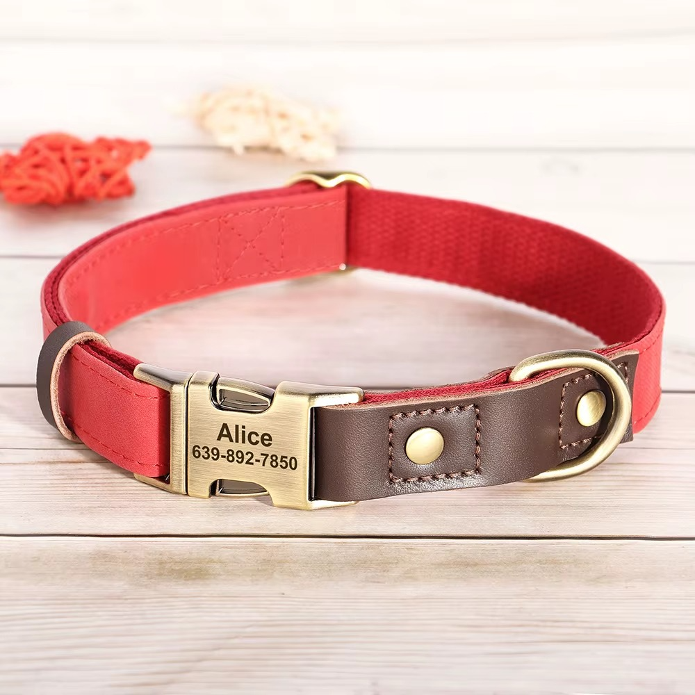 Custom Engraved Leather Dog Collar