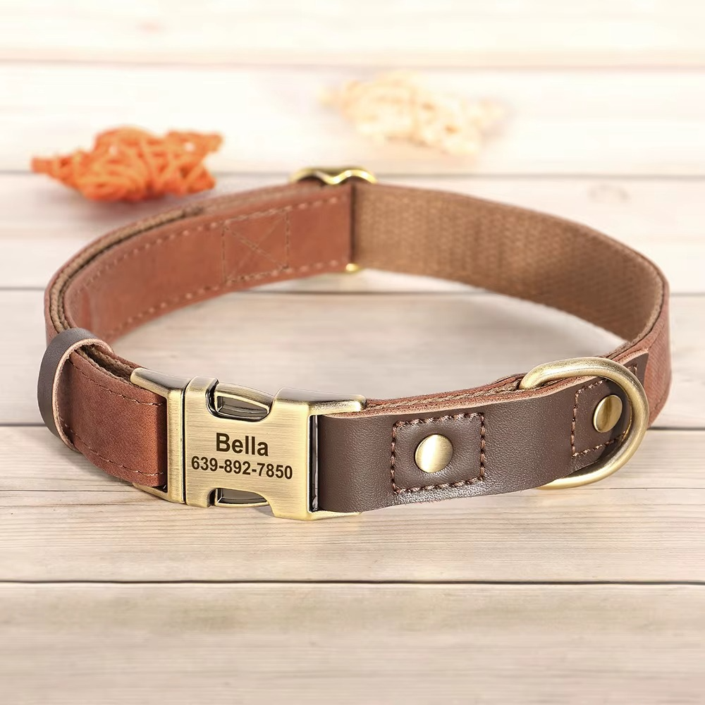 Custom Engraved Leather Dog Collar
