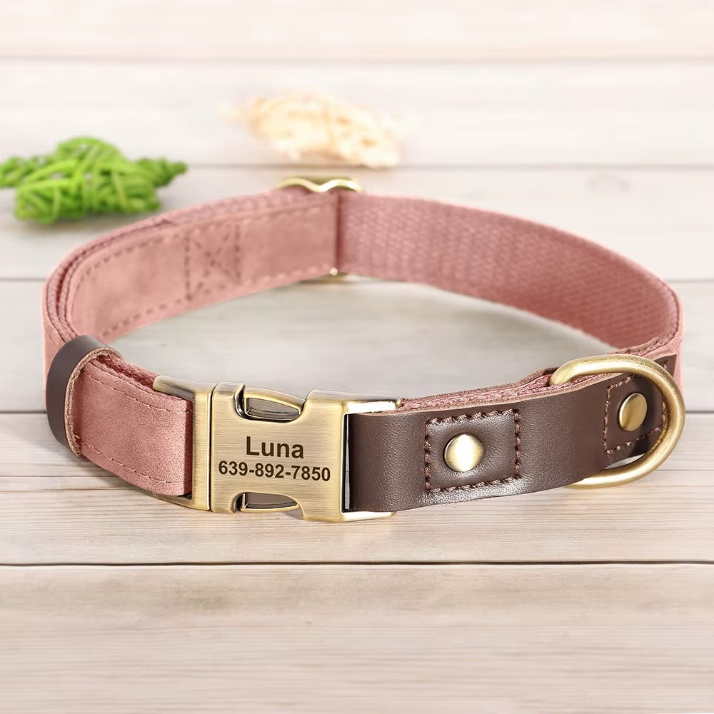 Custom Engraved Leather Dog Collar