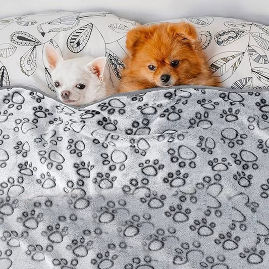 Soft Fluffy Pet Blanket