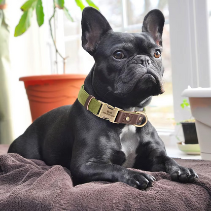 Custom Engraved Leather Dog Collar